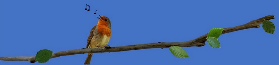 chansons fran�aises